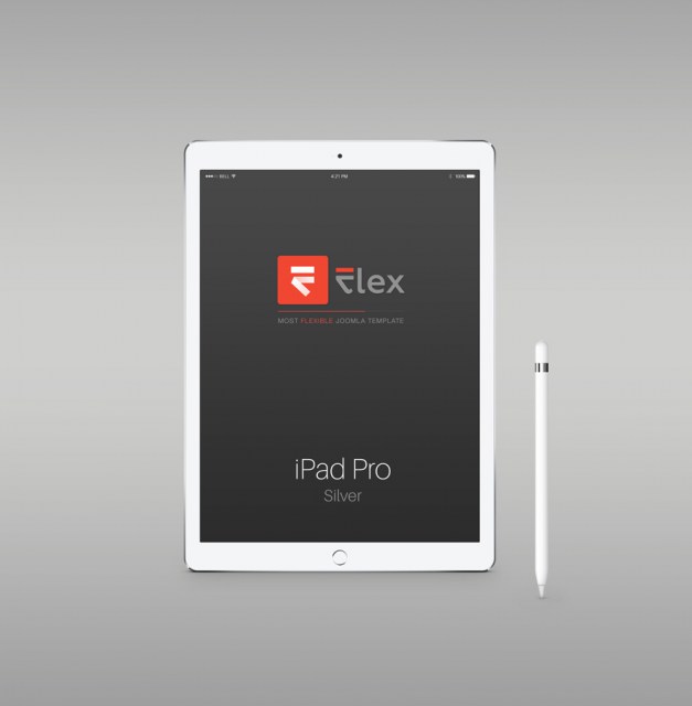 iPad Pro Silver